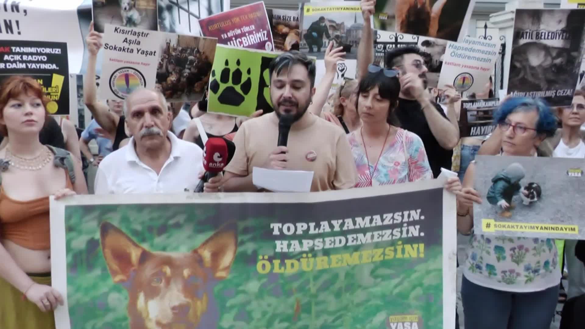 Hayvan hakları savunucuları, yasa teklifini Kadıköy'de protesto etti: Köpeklerin 'başıboş' denilerek canavarlaştırılmasına izin vermiyoruz