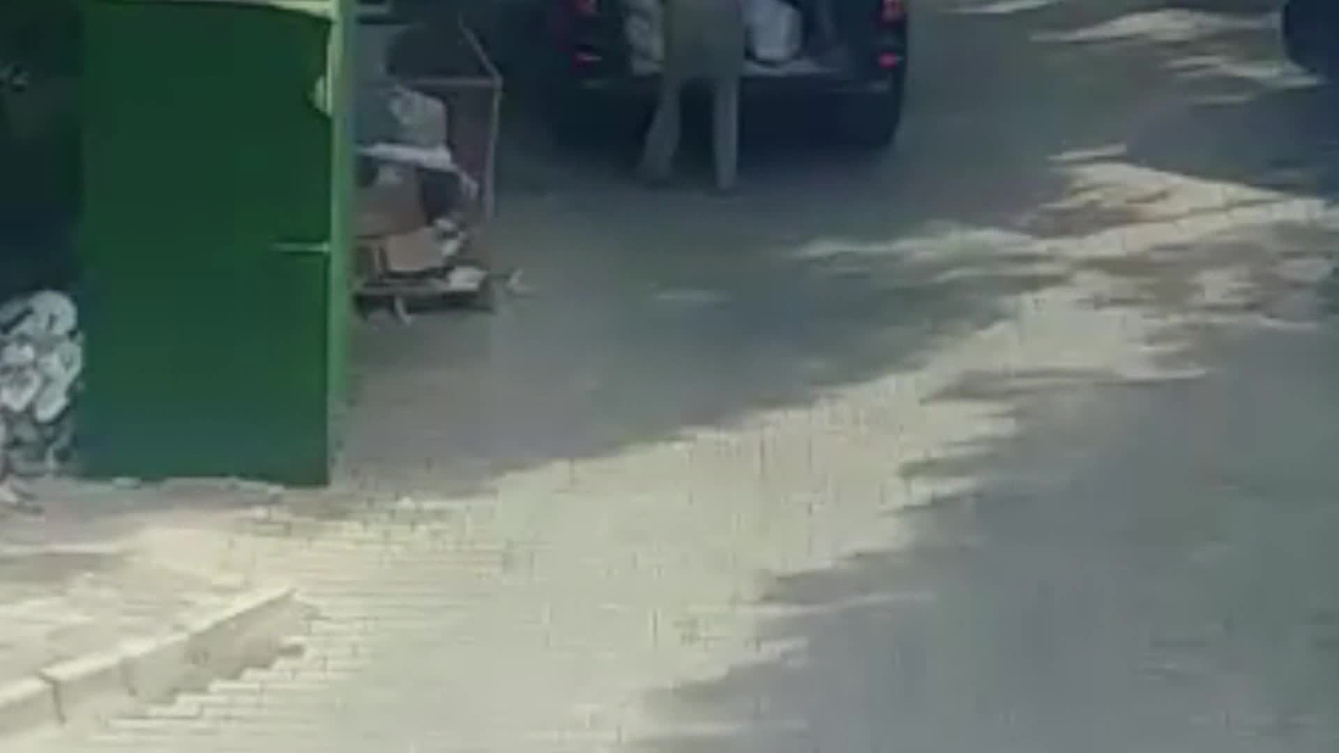 BODRUM'DA VATANDAŞ İHBAR ETTİ ZABITA TOPLATTI