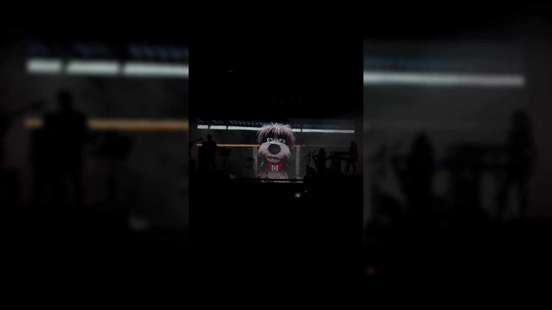 Ünlü şarkıcı Sertap Erener’den AKP’nin sokak hayvanlarıyla ilgili teklifine tepki: “Böyle bir şeyi biz kaldıramayız. Zaten çok acımız var, bir de bunu eklemeyelim”