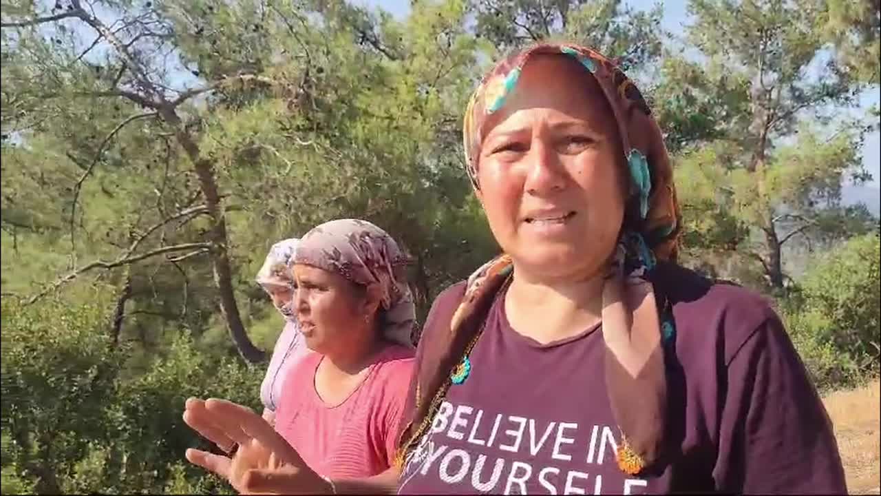 İkizköy Muhtarı Nejla Işık: Akbelen’de köylülerin zeytinlikleri dikenli telle çevrildi
