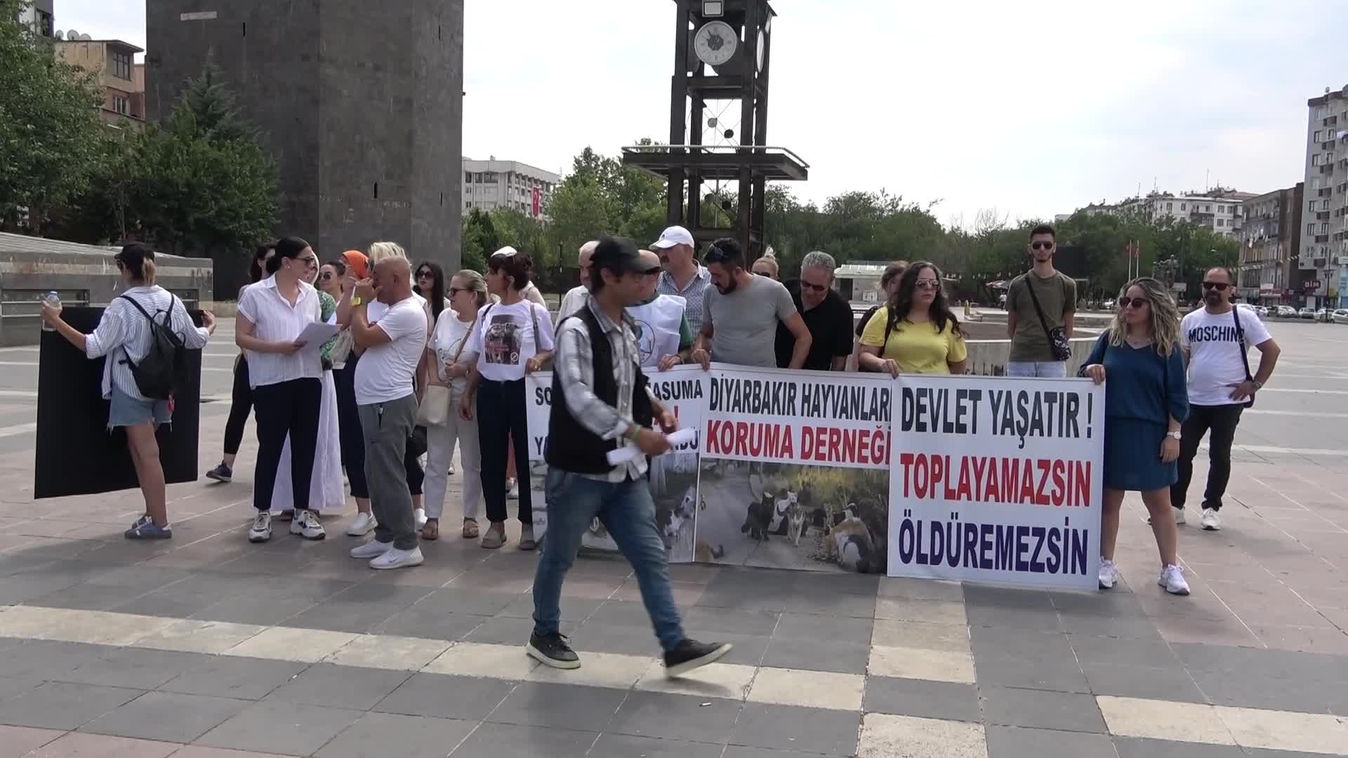 Hayvan hakları savunucuları Diyarbakır'dan seslendi: ''Bu kanun teklifi, kan kokuyor. Andımız olsun ki size bu hayvanları öldürtmeyeceğiz''