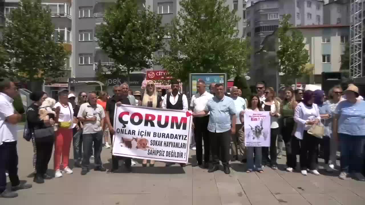 Çorum'da hayvanseverler, sokak hayvanlarıyla ilgili kanun teklifini protesto etti: "Bu kan kokan yasa teklifi geri çevrilmelidir"