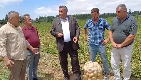 Ömer Fethi Gürer: "Patatesler, maliyetinden dolayı tarlada kalıyor"
