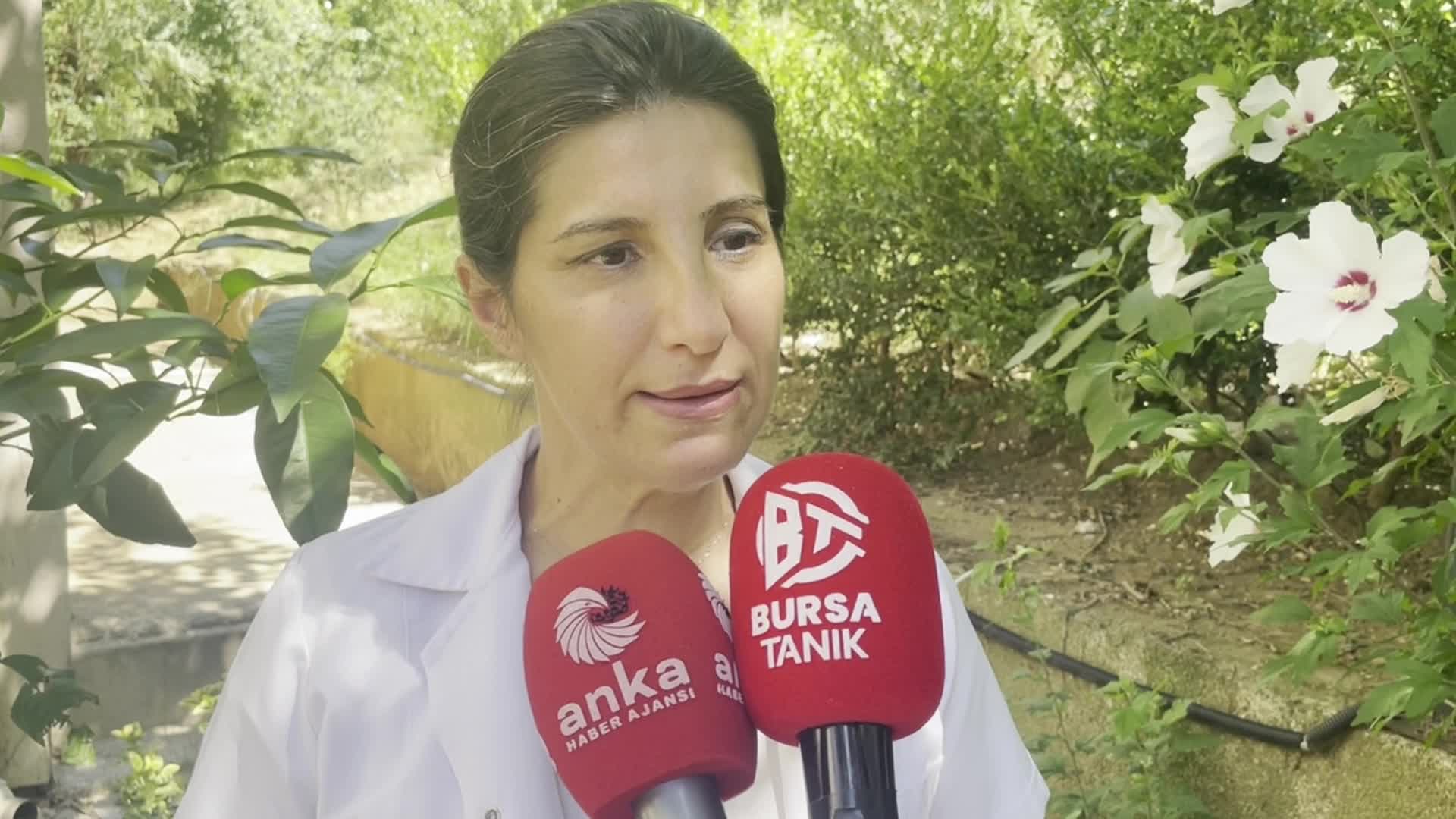 Türk Veteriner Hekimleri Birliği Merkez Konseyi Üyesi Melike Baysal: "Ötanaziyi hiçbir koşulda kabul etmeyeceğiz. Birçok meslektaşımız istifayı göze aldığını bildirdi"