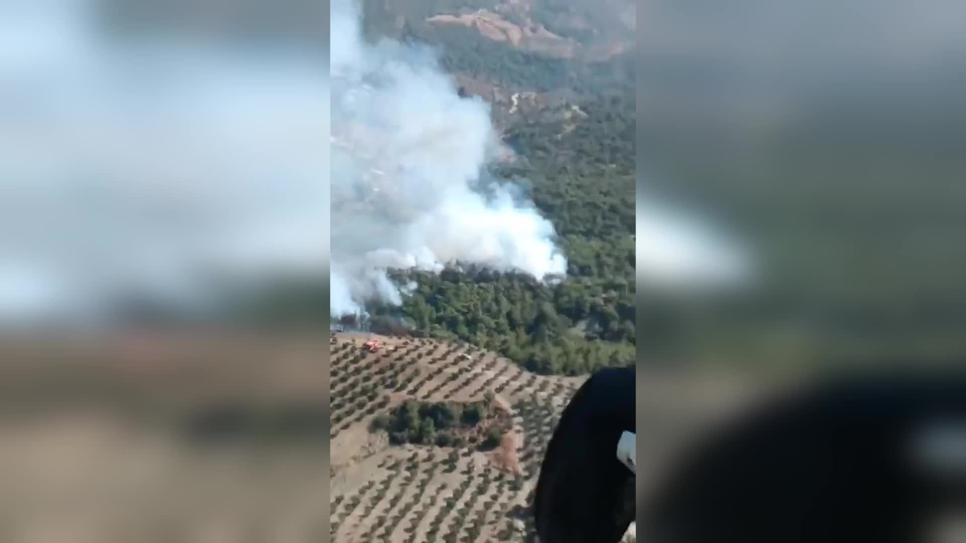 Hatay'ın Belen ilçesinde orman yangını