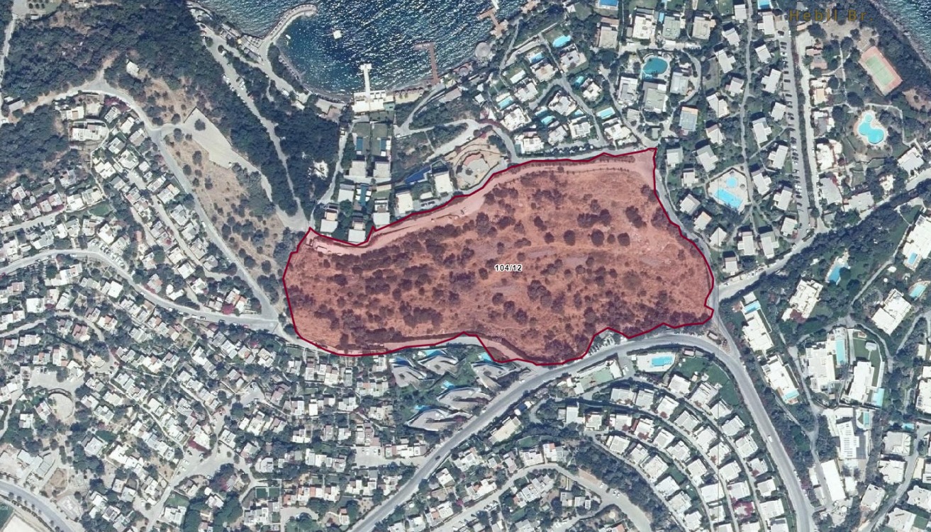 Bodrum’da zeytinlik alandaki otel projesine “ÇED gerekli değildir” kararı verildi