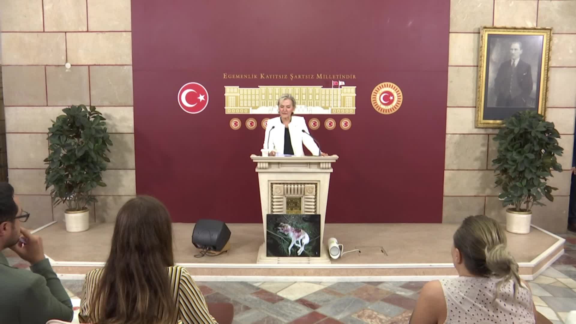 İYİ Partili Özdemir, sokak hayvanları kanun teklifine ilişkin konuştu: "Katliam teklifinden başka bir şey değil"