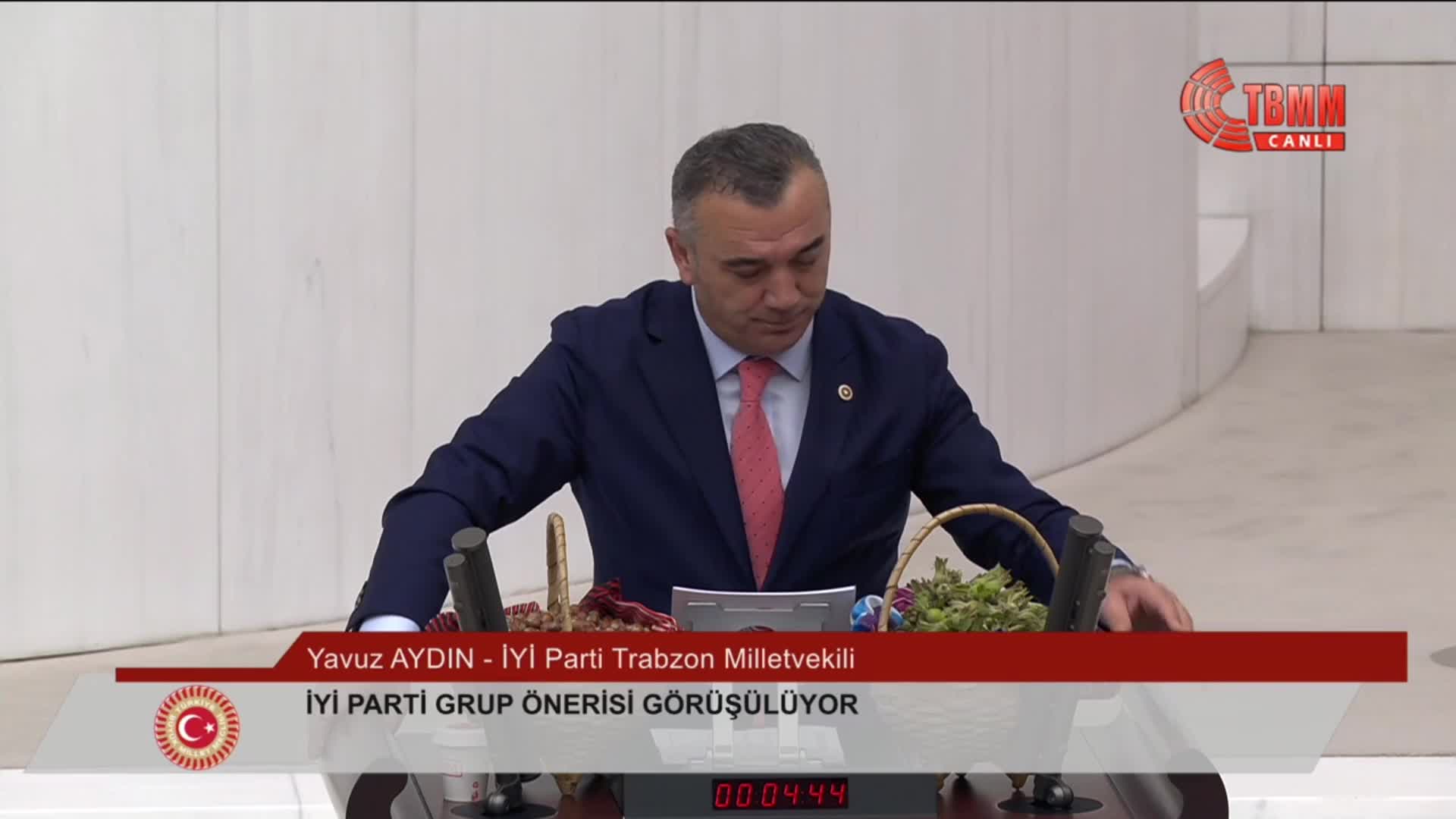 İYİ Parti'nin fındık üreticilerinin sorunlarının araştırılması önerisi reddedildi