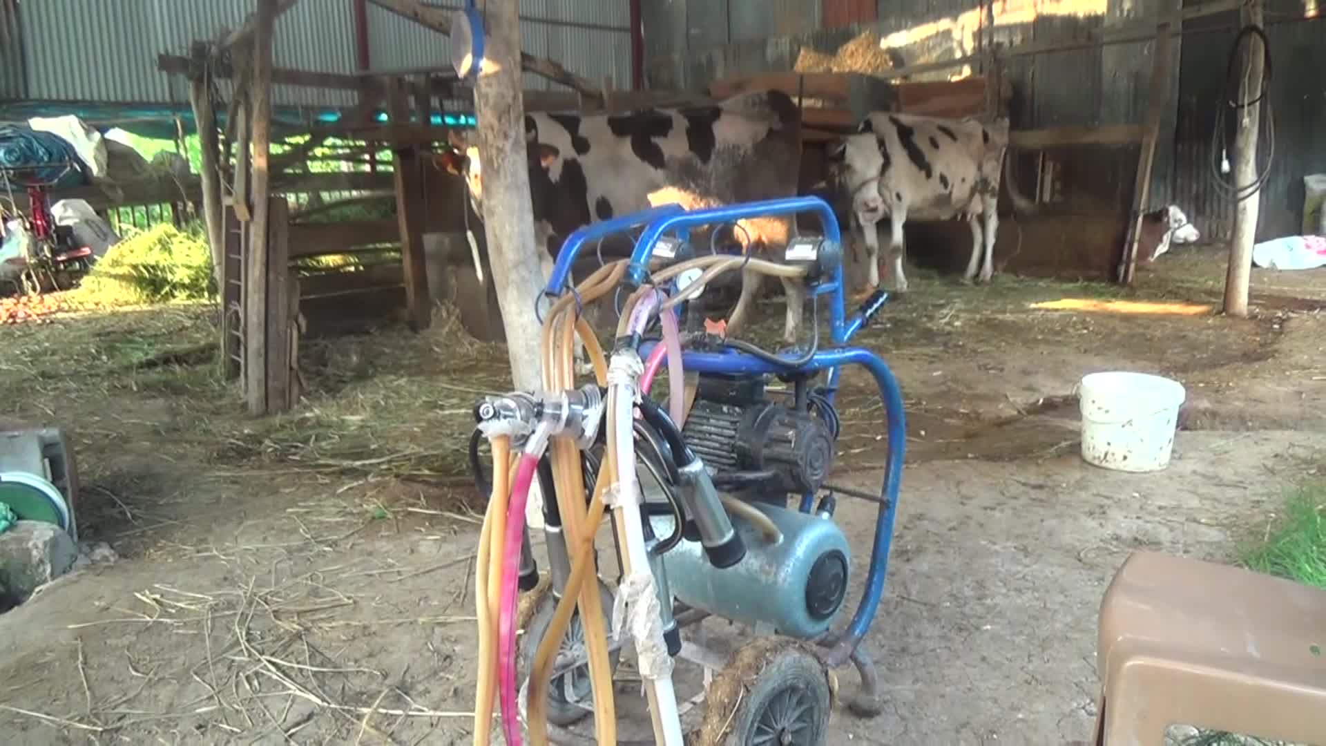 Köylerinde düşük voltaj problemi yaşayan vatandaşlar tepkili: Üç tane fırınım yandı. Elektrik pahalandı ama hizmet yok’