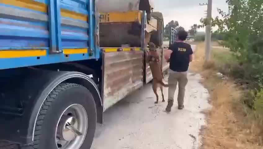 Osmaniye'de operasyon: 77 kilo uyuşturucu madde ele geçirildi