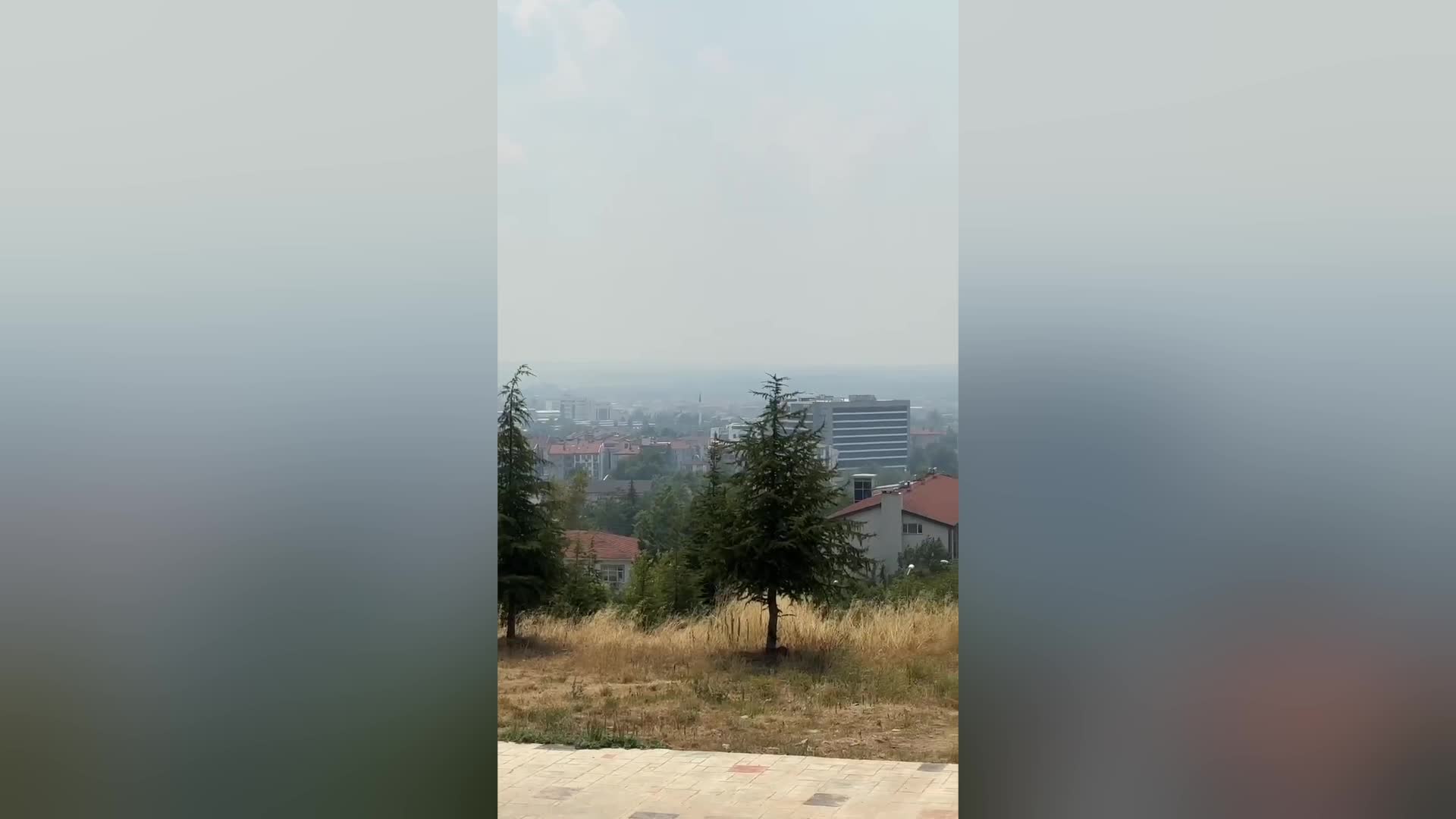 Bulgaristan'daki yangının dumanı Edirne’ye ulaştı