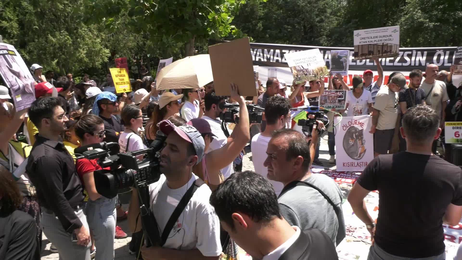 Barolar ve hayvanseverlerden Kuğulu Park'ta 'ötanazi' protestosu: "Yaşam hakkını korumak mümkünken, öldürmeyi seçmek; yalnızca zalim bir tercihin sonucudur"