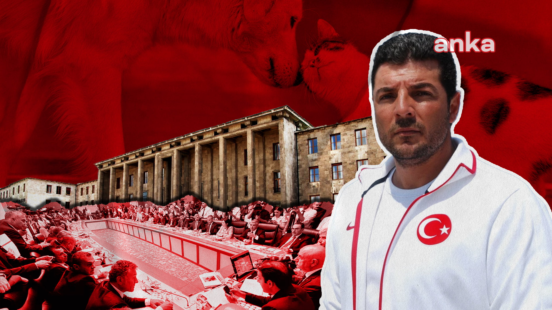 Milli yüzücü Alper Sunaçoğlu, hayvanlara "ötanazi" teklifini protesto etmek için açlık grevine başlayacağını açıkladı
