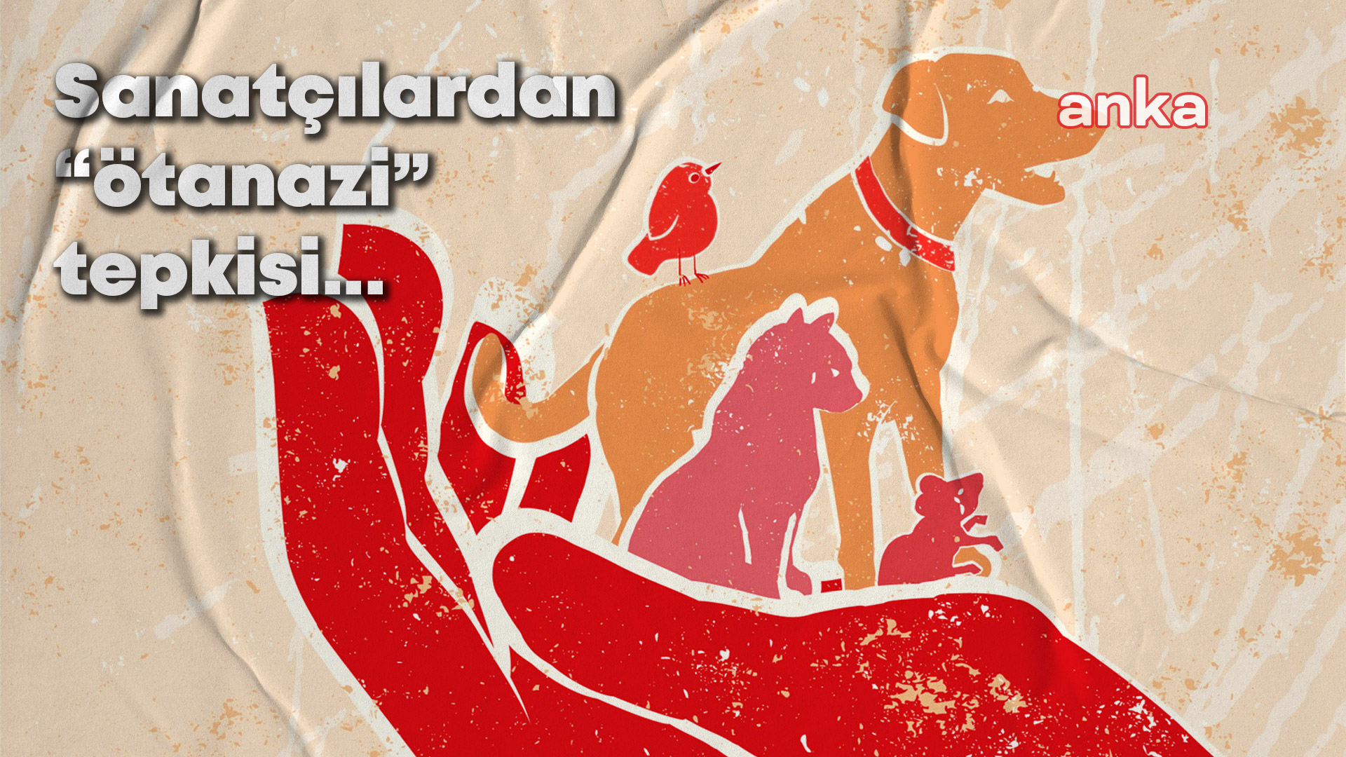 Edebiyat ve sanat dünyasından sokak köpeklerine ötanazi teklifine tepki... "Çağdaş çözümler bulun"