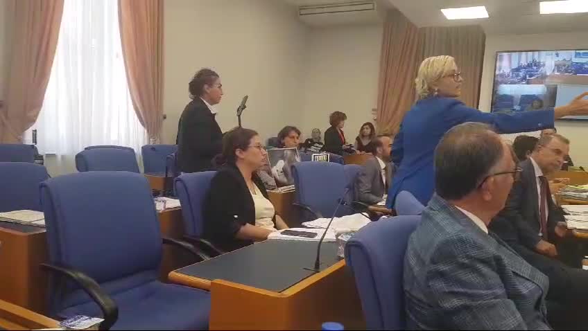 TBMM'de sokak hayvanları ile ilgili kanun teklifi görüşmeleri... DEM Parti'li Koca'nın "Niteliksizler" sözü üzerine tartışma yaşandı