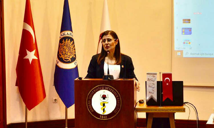 Veteriner Hekimleri Derneği: "Genel Başkanımız Gülay Ertürk'ün Meclis'e girişi 28'inci dönem boyunca yasaklandı"