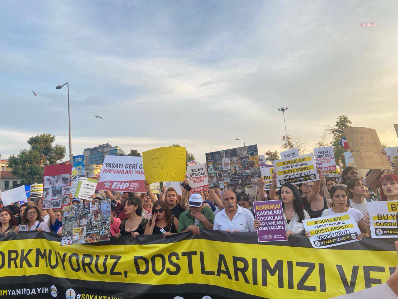 Yaşam İçin Yasa İnisiyatifi ve Hayvan Yaşam Özgürlük İnisiyatifi,: "Vazgeçmiyoruz"