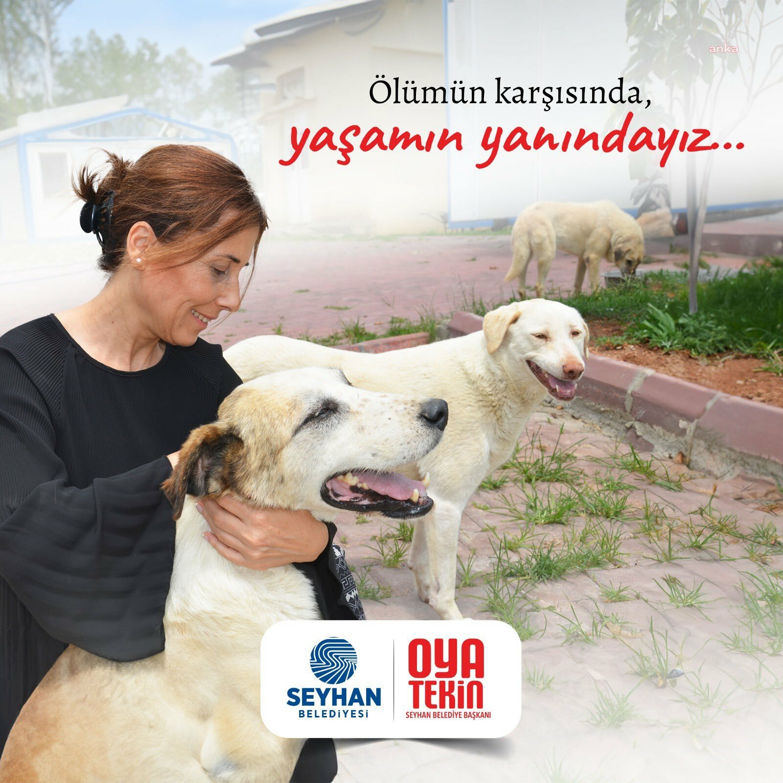 Adana Seyhan Belediye Başkanı Tekin: “Ölümden çözüm olmaz”