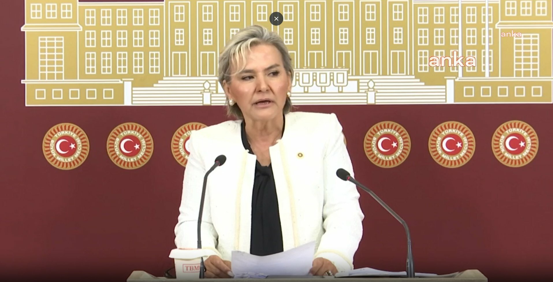 İYİ Parti İstanbul milletvekili Nimet Özdemir partisinden istifa etti