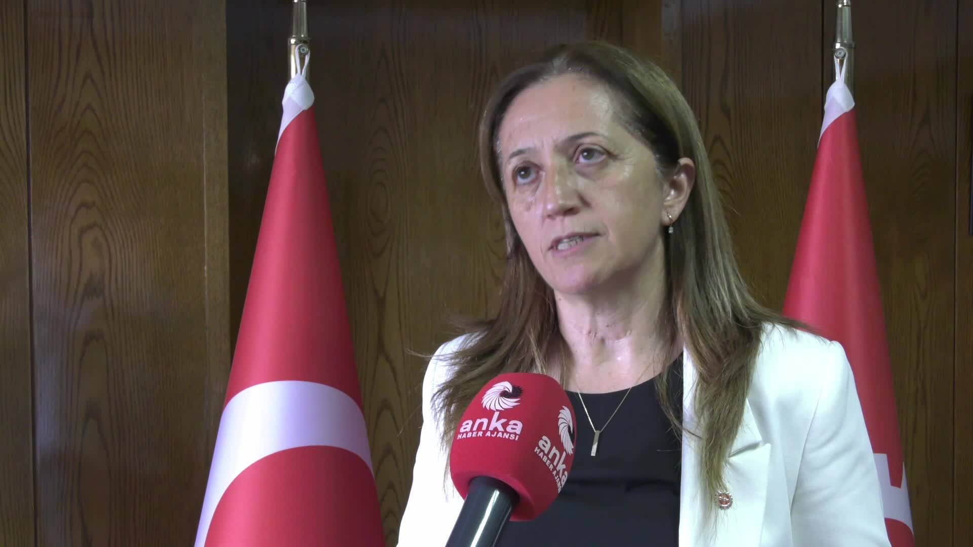 DİSK Genel Başkanı Çerkezoğlu: Çalışma ve Sosyal Güvenlik Bakanlığı'na Dev Sağlık-İş'le ilgili itirazımızı yaptık