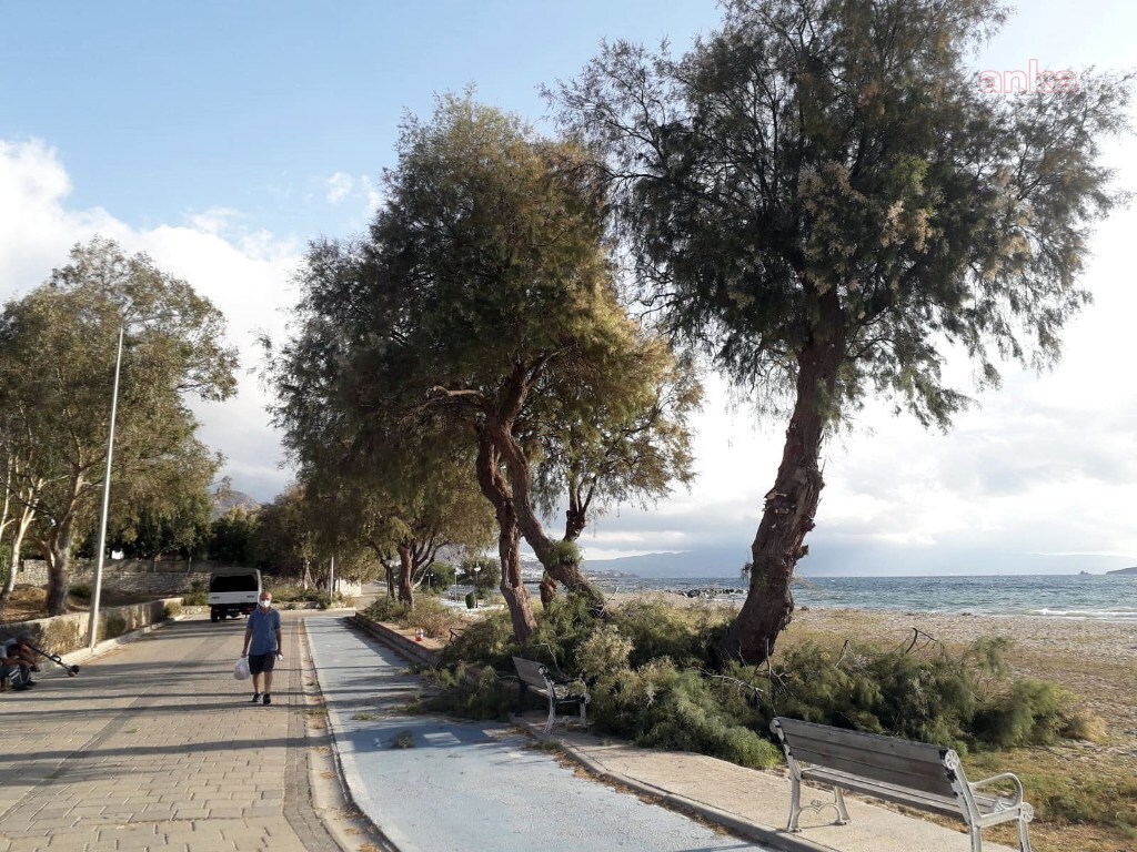 BODRUM BELEDİYESİ'NDEN SONBAHAR BAKIMI