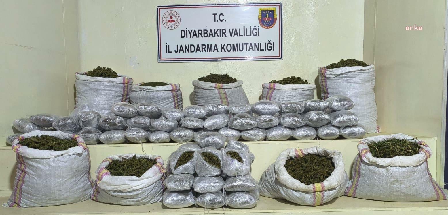 Diyarbakır’da narkoterör operasyonu: 2 milyon 669 bin kök kenevir ve skunk bitkisi ele geçirildi