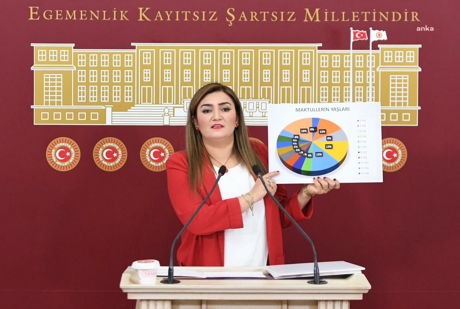 Sevda Erdan Kılıç: Bu yılın ilk altı ayında kadın cinayetleri kapsamında 24 çocuk hayatını kaybetti
