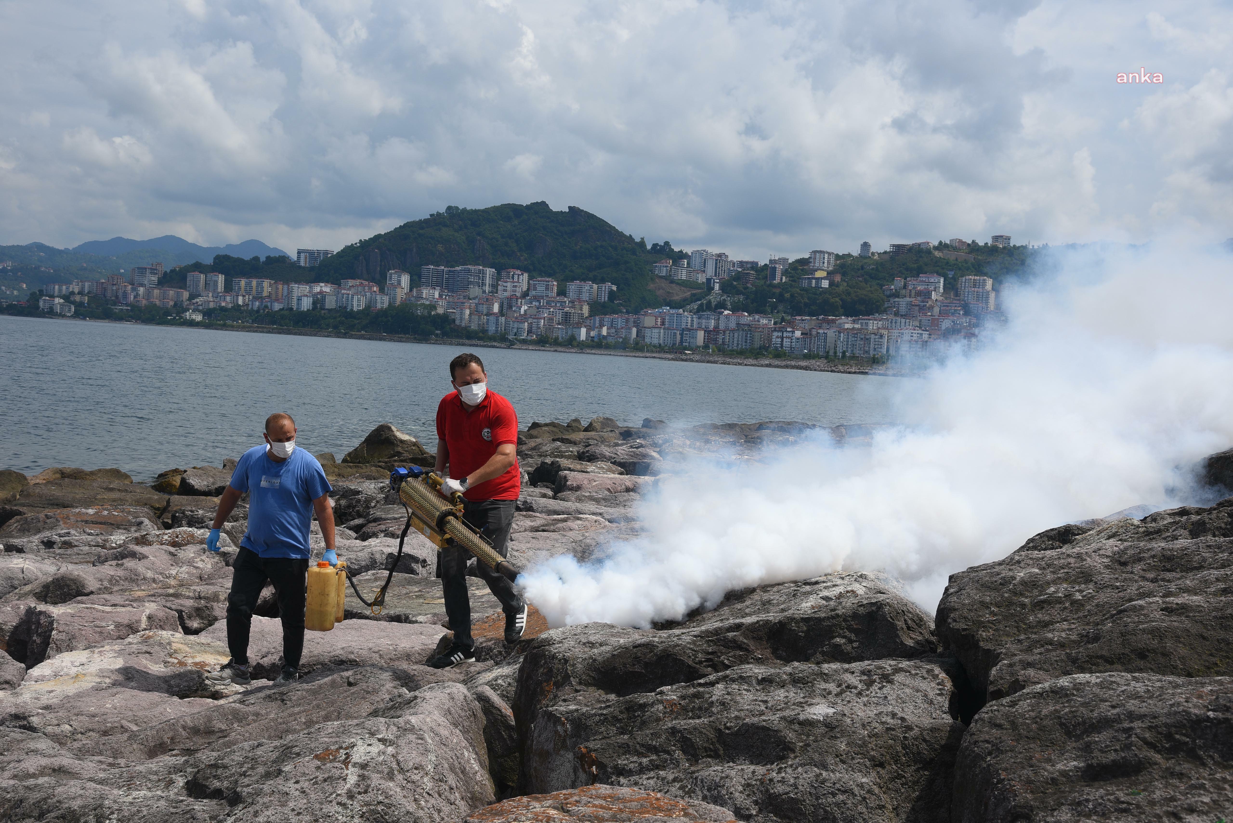 Giresun’da sahil bölgesindeki kayalıklar ilaçlandı