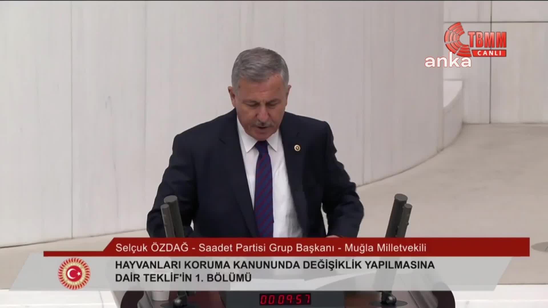 TBMM'de sokak hayvanları yasa tasarısının birinci bölümü üzerine görüşmeler başladı...