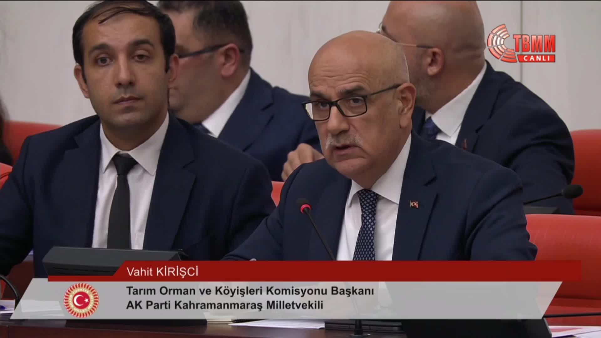 TBMM'de sokak hayvanlarına ilişkin kanun teklifinin görüşmelerinde komisyon başkanı Kirişci milletvekillerinin sorularını yanıtladı