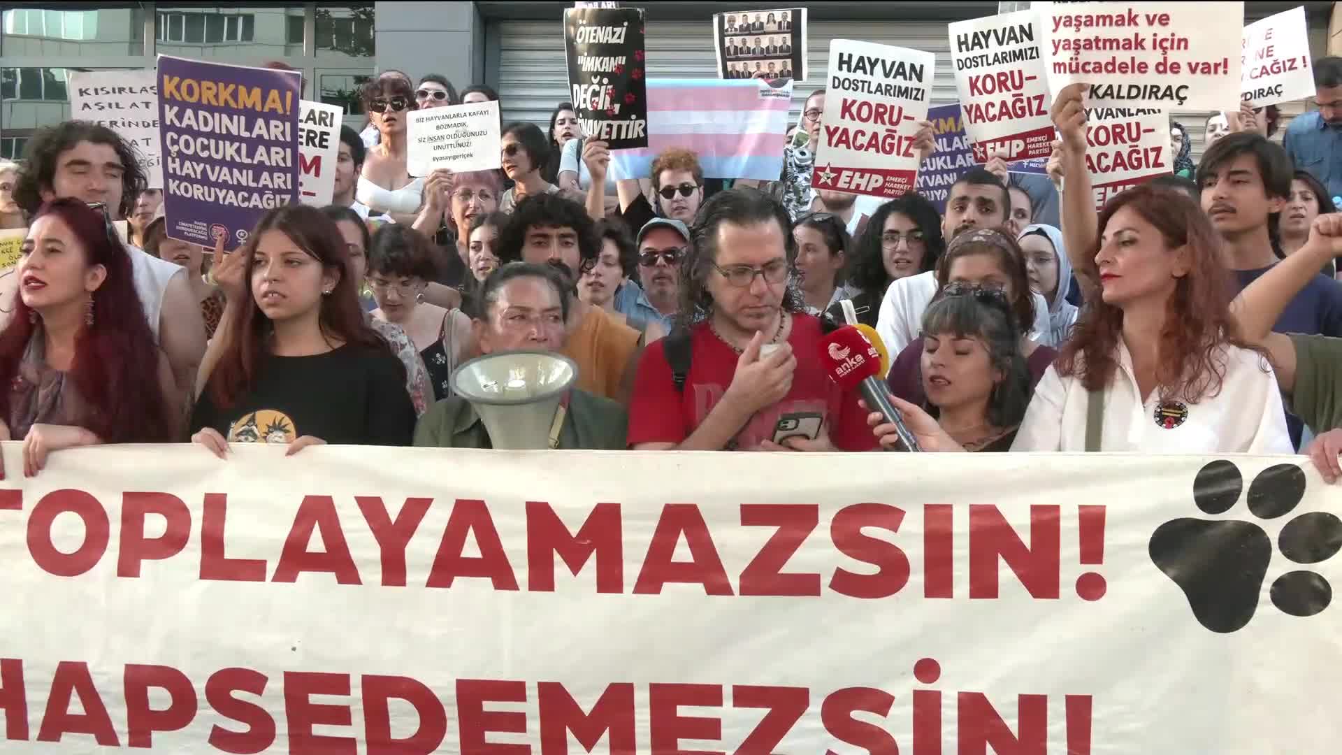 Ankara'da yaşam hakkı savunucularından protesto... "Sokaklarda kedi köpek besleyenlere karşı şiddet tırmandırılmakta"