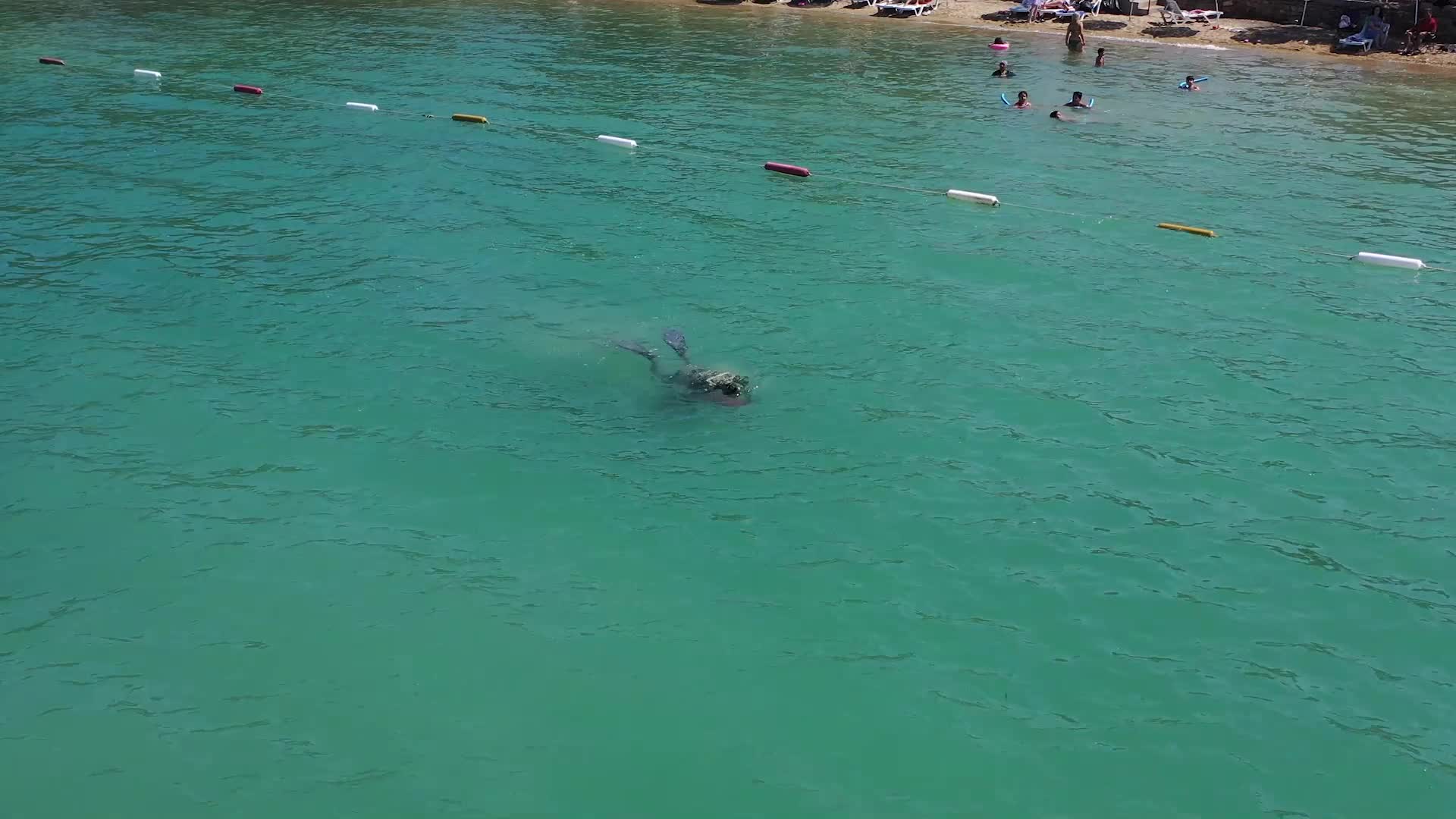 Bodrum Belediyesi’nden Güvercinlik’te deniz dibi temizliği