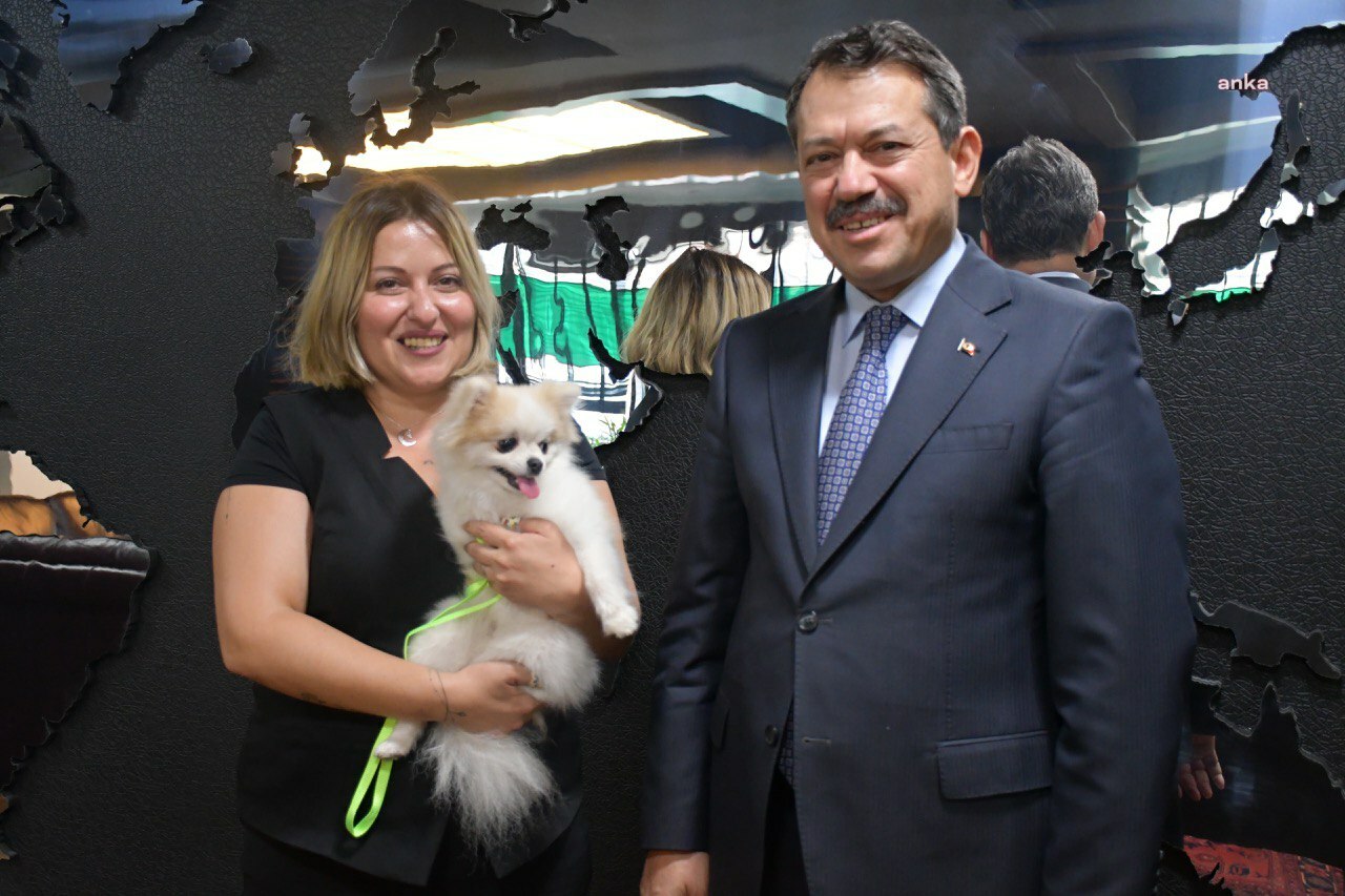 Tepebaşı’nda şiddet mağduru köpek “Pamuk” yeni yuvasına kavuştu