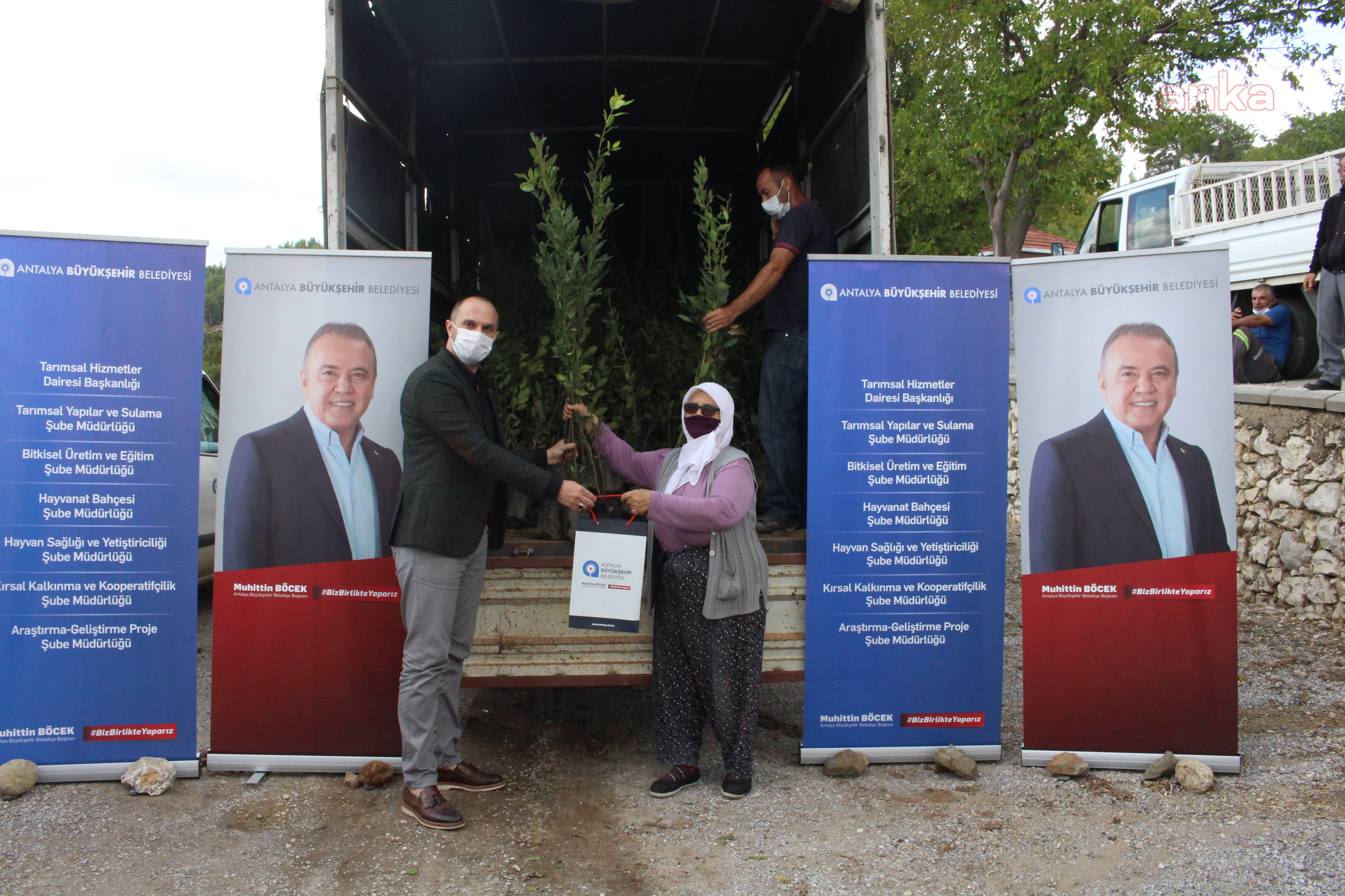 MANAVGAT'TA DEFNE FİDANI YARDIMI YAPILDI
