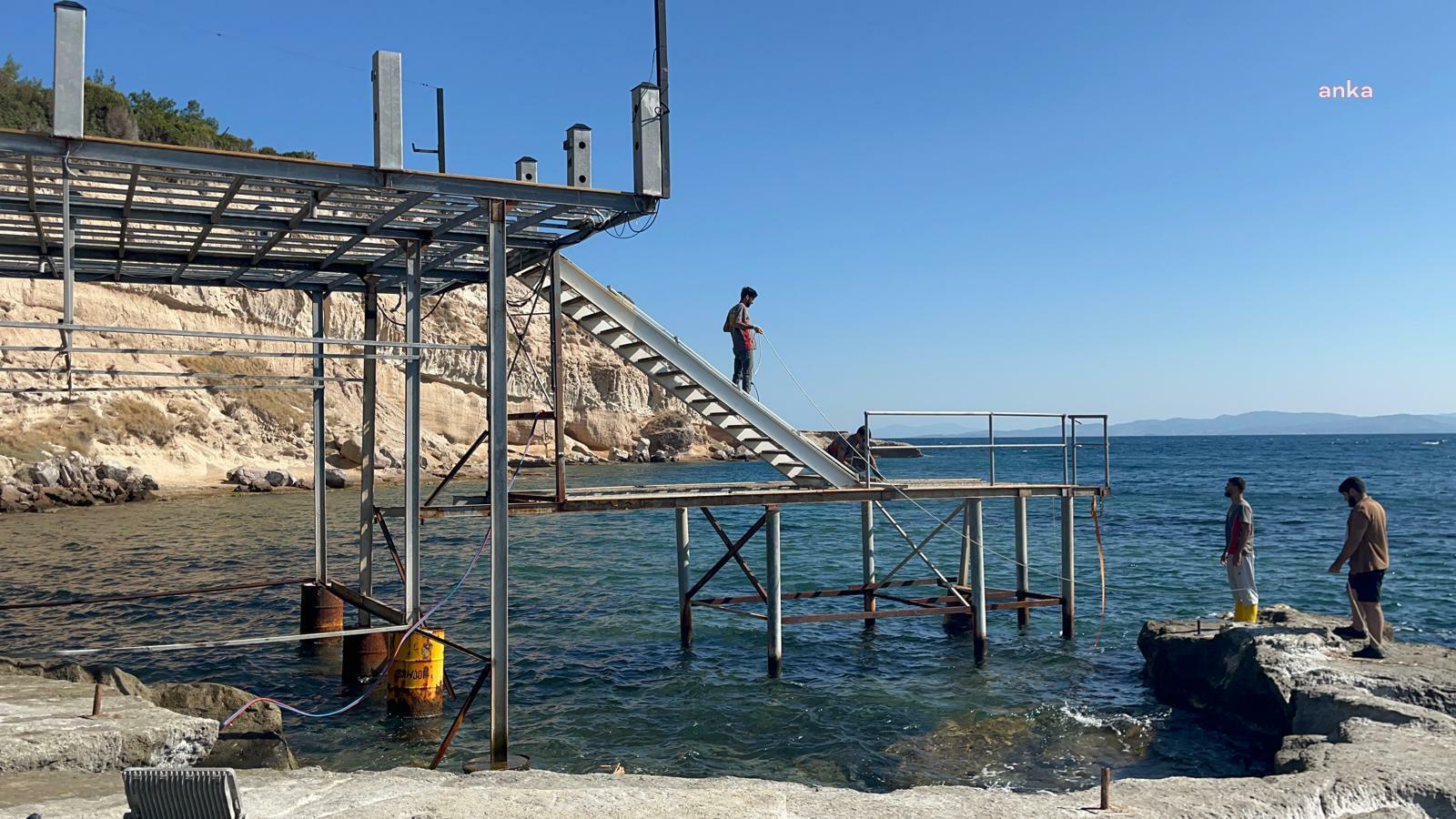 Akdeniz foklarının yuvaları kurtuluyor: Ayıbalığı Koyu'ndaki izinsiz iskelenin sökümü başladı