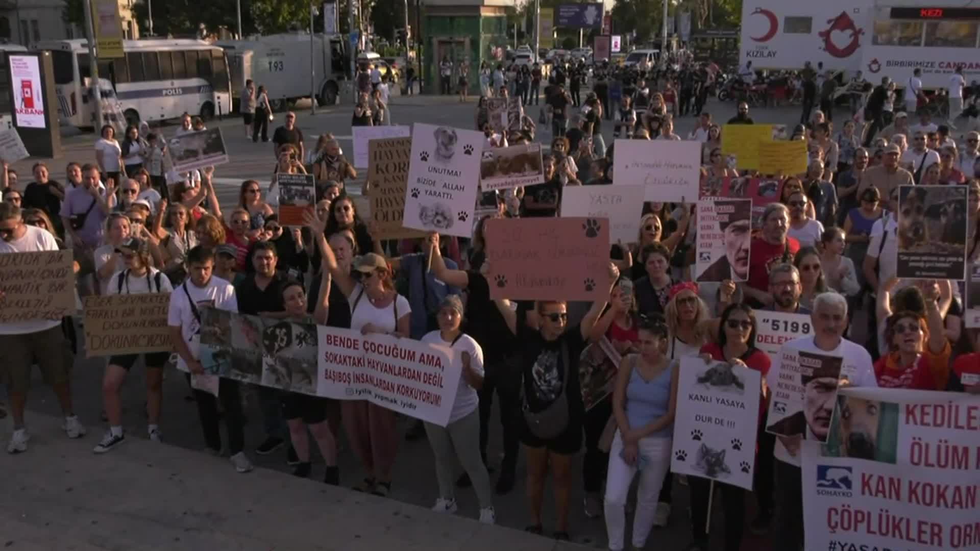Yaşam hakkı savunucuları Kadıköy'den seslendi: Hayvanların katline izin vermeyeceğiz