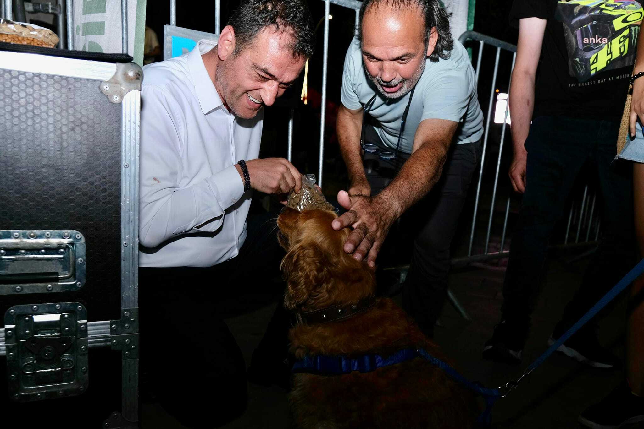 Giresun Belediye Başkan Köse: “Sahipsiz hayvanların uyutulmasına yönelik çağ dışı yasanın uygulanması vicdanen mümkün değildir”