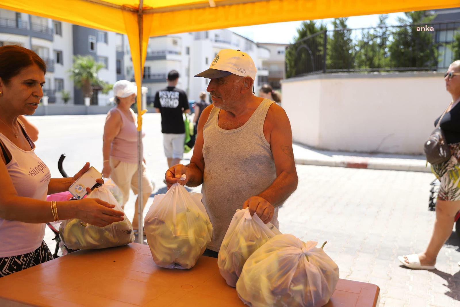 Didim Belediyesi’nin tarlasında yetişenler vatandaşa ücretsiz ulaştırılıyor