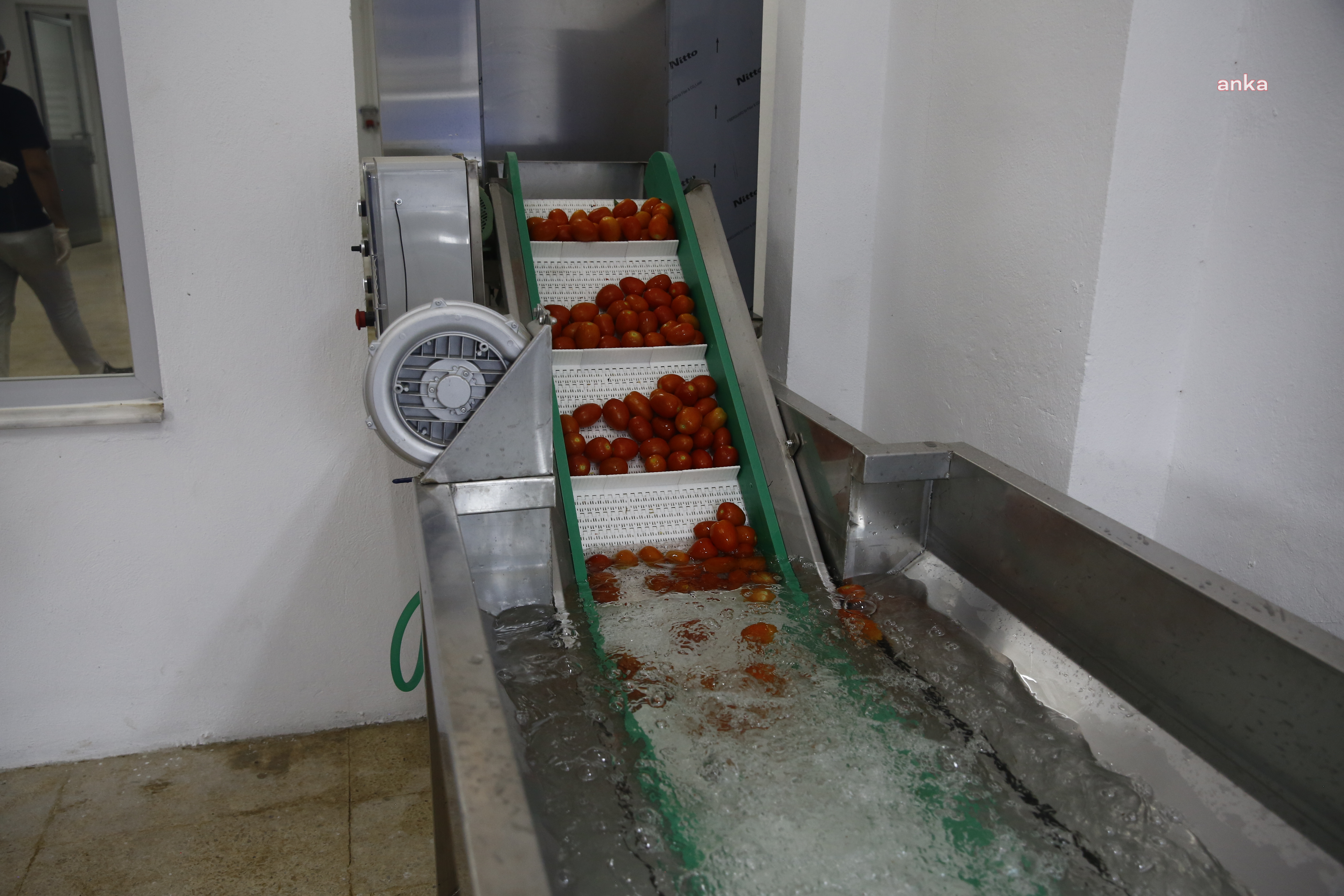 Antalya Büyükşehir'in Kumluca Yaş Sebze Meyve Kurutma ve Paketleme Tesisi ile kayıplar en aza iniyor