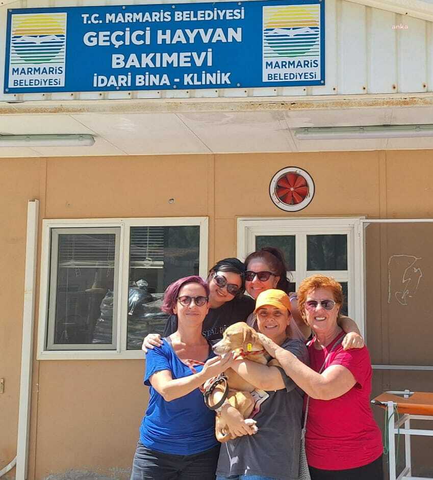 Marmaris Belediyesi Hayvan Rehabilitasyon Merkezi, 7 ayda 157 can dostu sahiplendirdi
