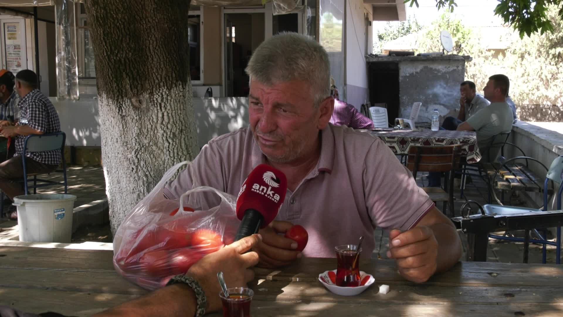 ANKA Karacabey'de... "Köy kahvesinde bir bardak çay içebilmek için 5 kilo domates satmak zorundayız.. Çiftçi borçları silinmeli"