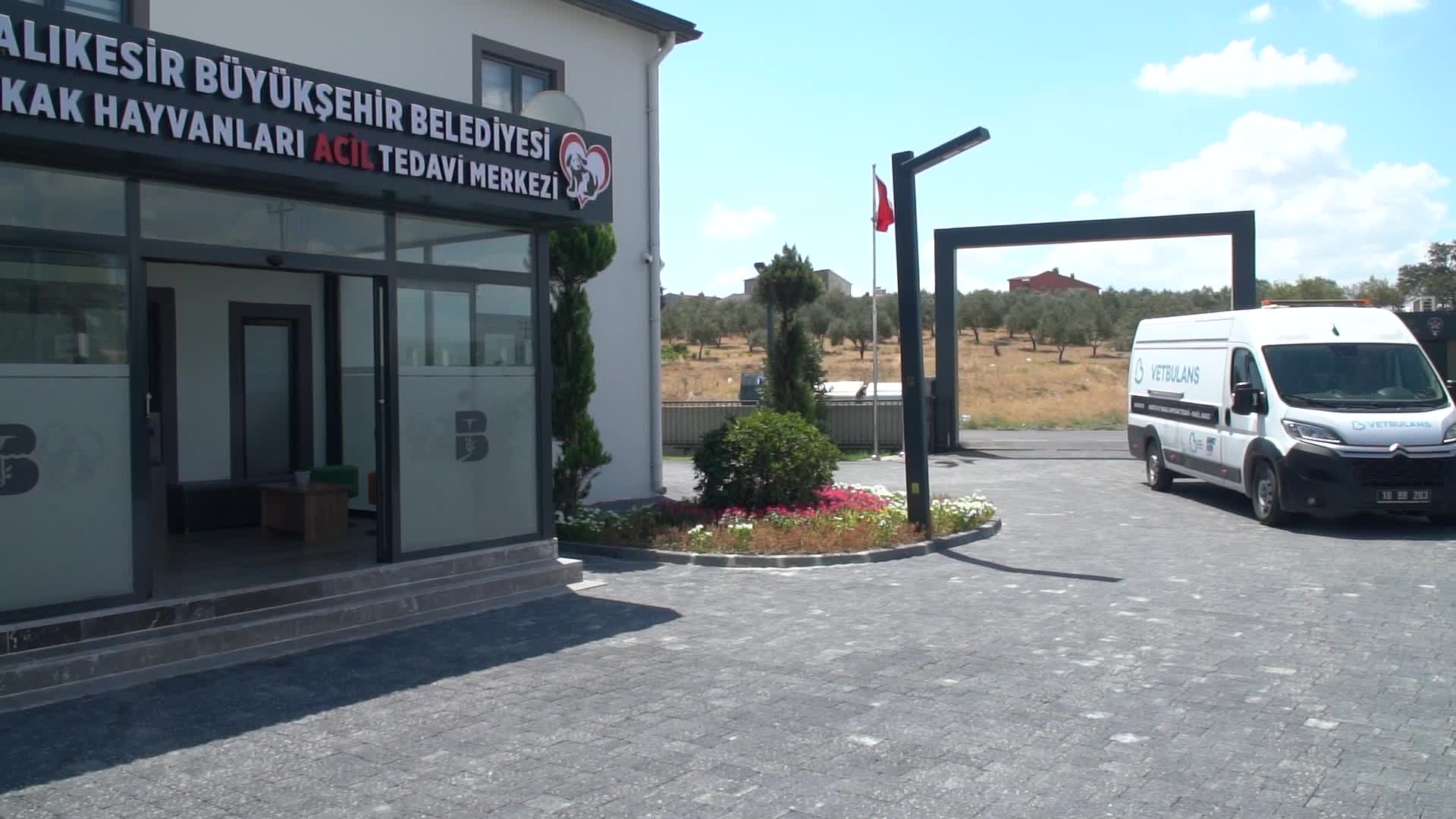 Balıkesir Büyükşehir Belediyesi İtfaiye Eri Seray Başol’dan dumandan etkilenen kediye hayati müdahale