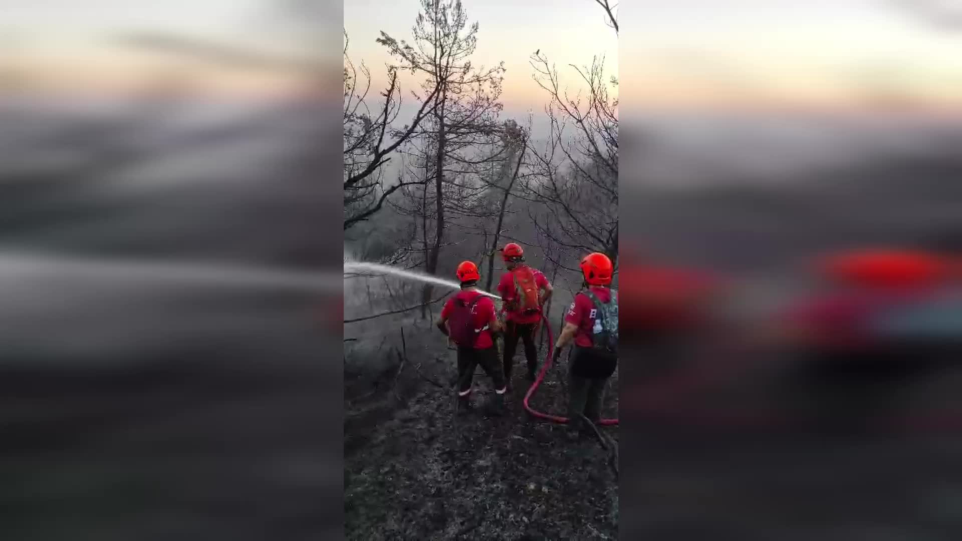 Bursa'daki orman yangınına müdahale sürüyor