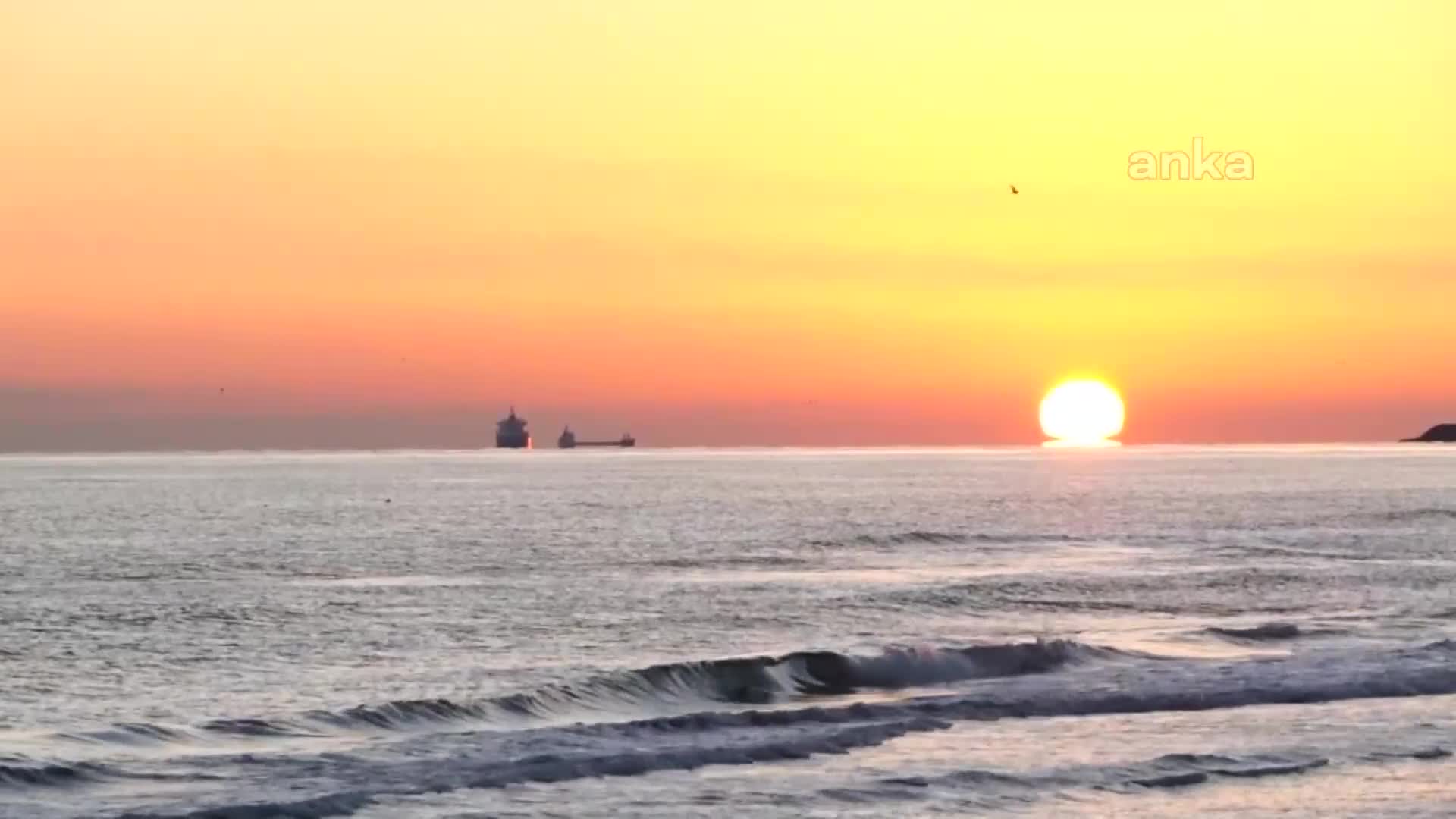 ANTALYA BÜYÜKŞEHİR'İN ÇİFTÇİYE DESTEĞİ SÜRÜYOR