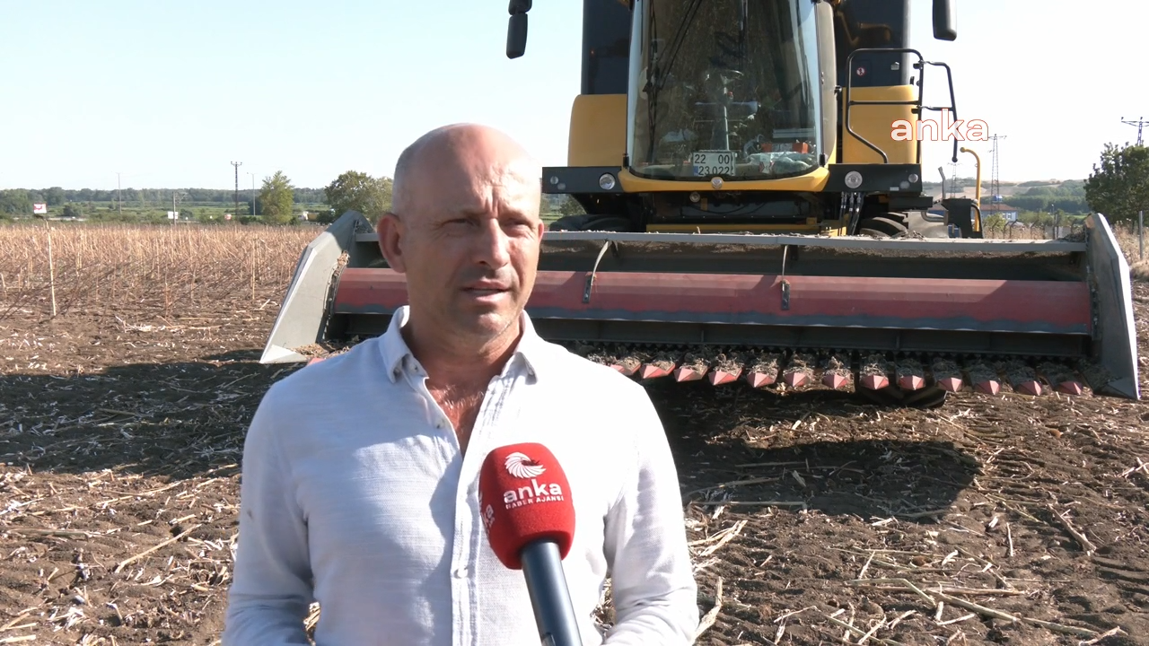 Edirne'de çiftçiler kuraklıkla boğuşuyor... Edirne Ziraat Odası Başkanı Arabacı, "Bulgaristan'dan su talebinde bulunuldu"