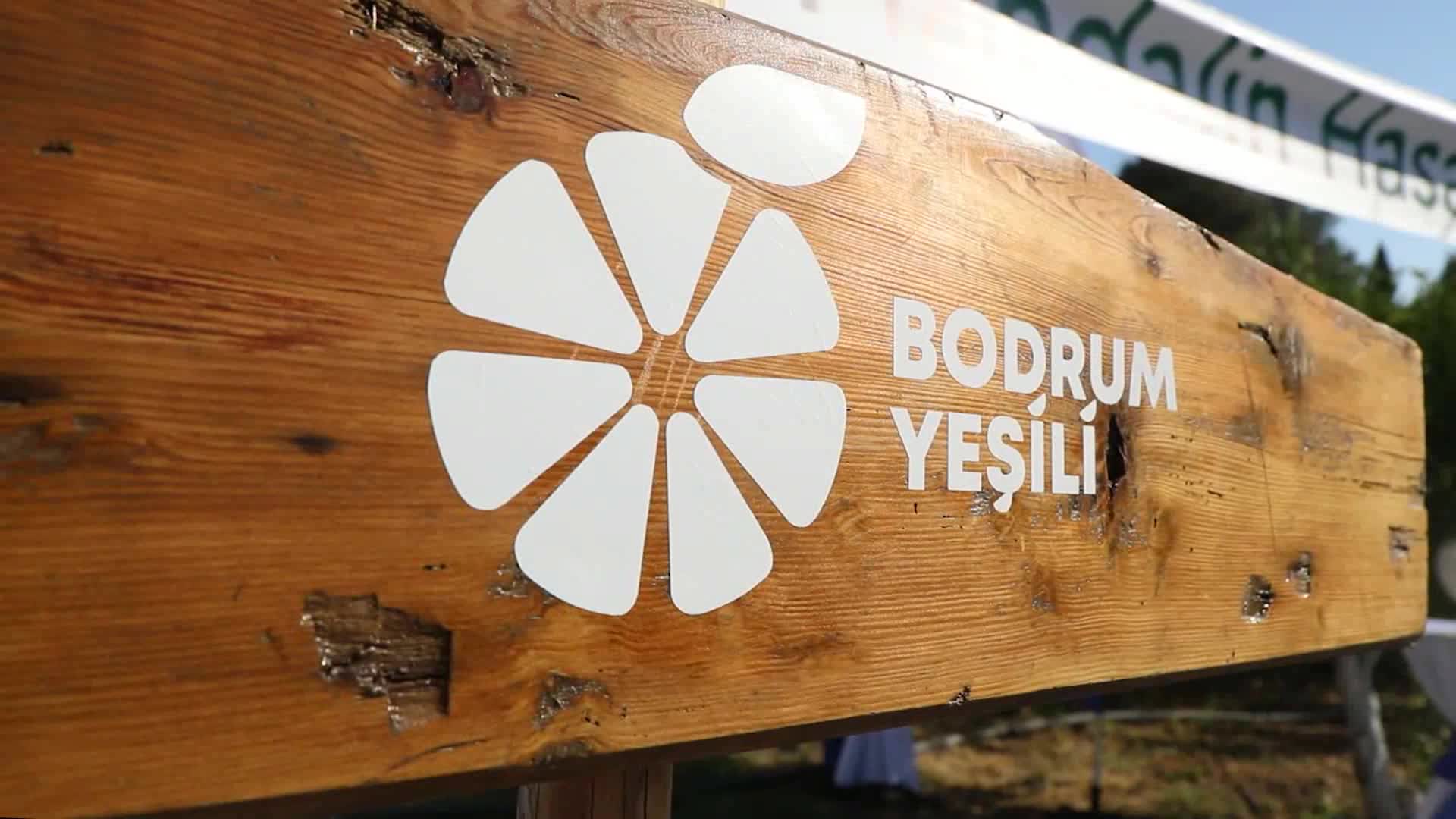 Bodrum’da 'yeşil mandalin' hasadı