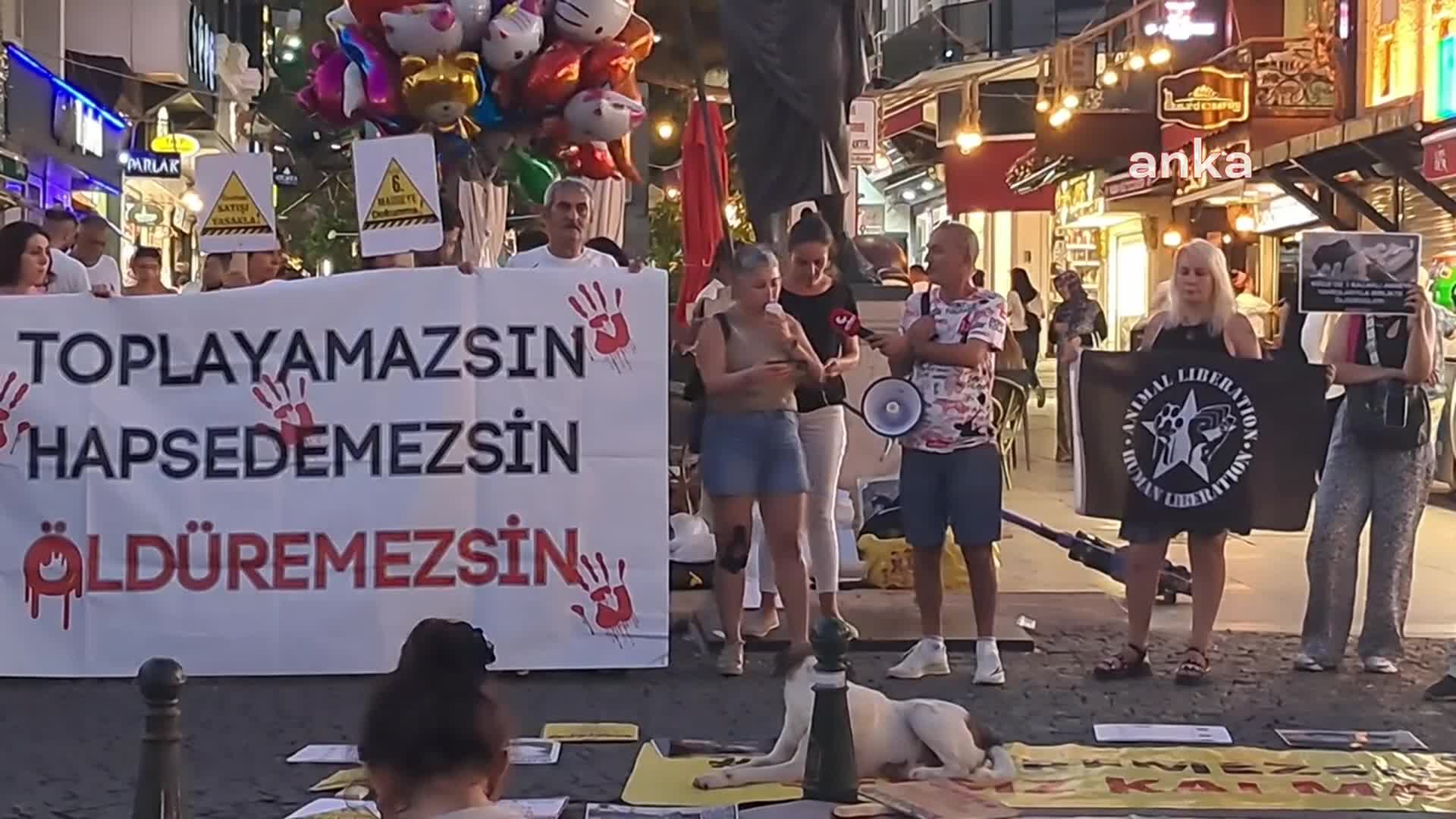 Antalya'da hayvanseverlerden katliamlara protesto: "Yıllardır birlikte yaşadığımız komşularımızı kanlı ellerinize teslim etmeyeceğiz"