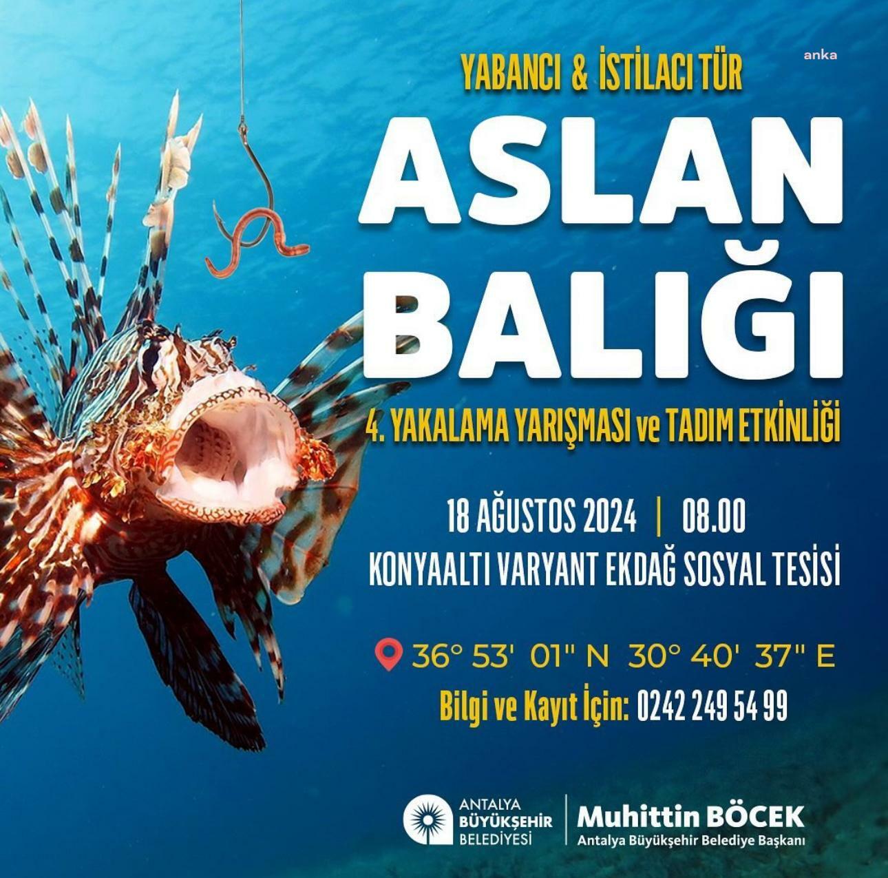 Antalya Büyükşehir'den Aslan Balığı Yakalama Yarışması