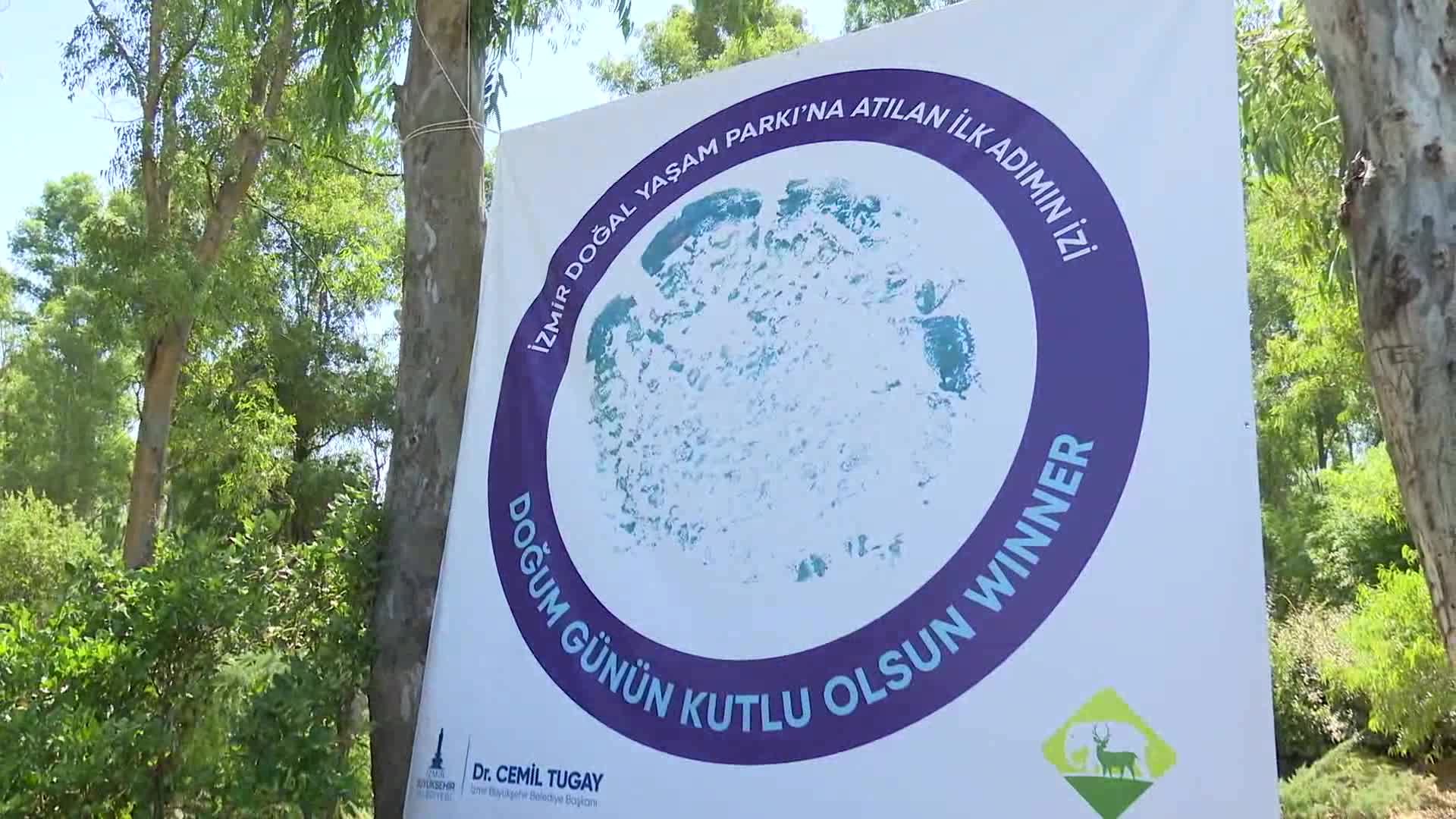 İzmir Doğal Yaşam Parkı'nın sevimli sakini fil Winner, 22 yaşında
