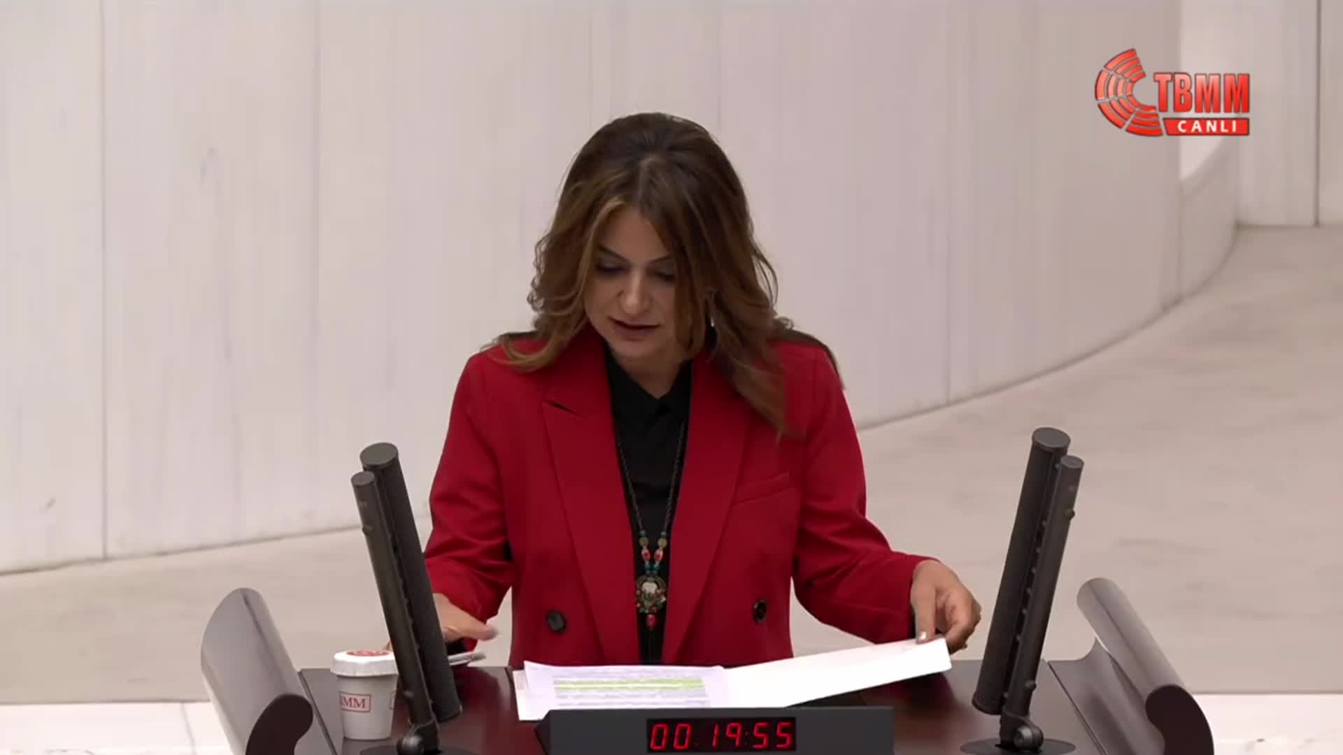 TBMM'nin olağanüstü toplantısı... Gülistan Koçyiğit: ''Can Atalay meselesi milletvekilliği meselesi değil, AKP’nin hukuksal devlet düzenine savaş açma meselesidir''